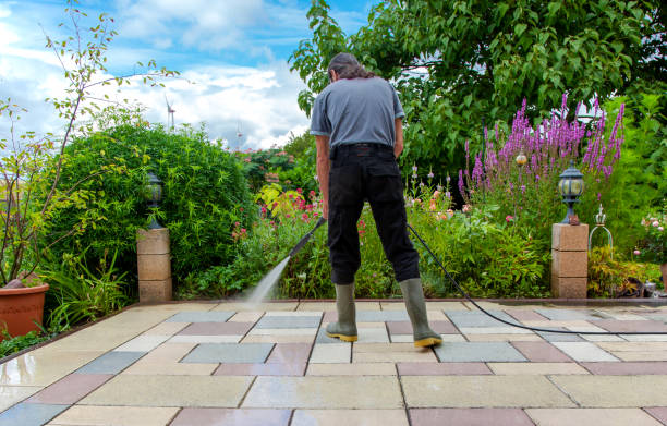 Best Pool Deck Cleaning in Elroy, WI
